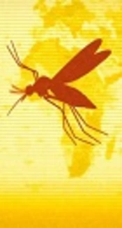 Yellow Fever in Southeast Asia: A Concern After the Emerging of the First Imported Case in China